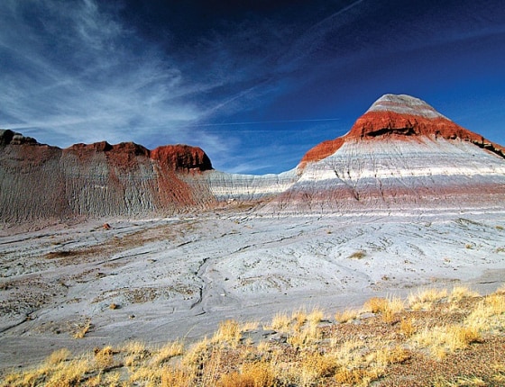 Image: Petrified Forest National Park, Arizona